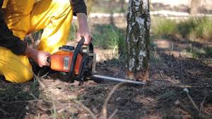 Best Lawn Watering Services  in Planada, CA