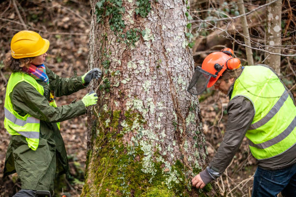 Best Tree Mulching  in Planada, CA